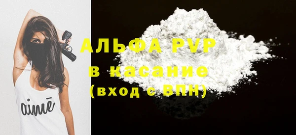 стаф Алзамай