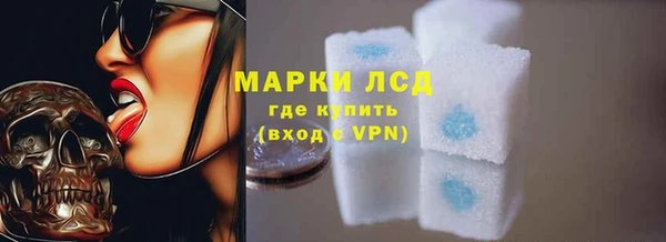 стаф Алзамай