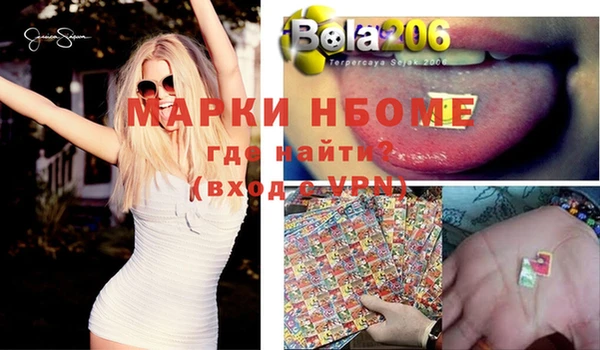 стаф Алзамай
