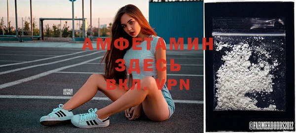 стаф Алзамай