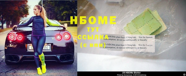 стаф Алзамай