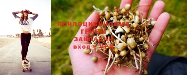метадон Алексеевка